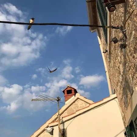 Lenesta Bol
