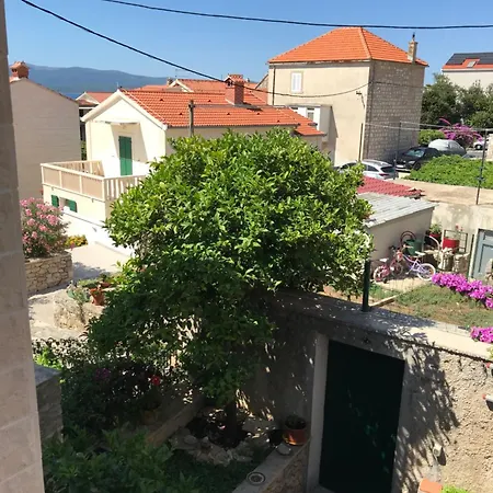 Lenesta