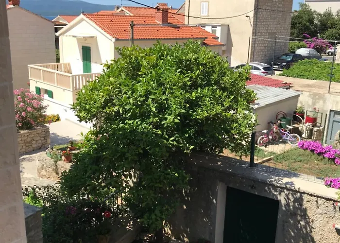 Lenesta